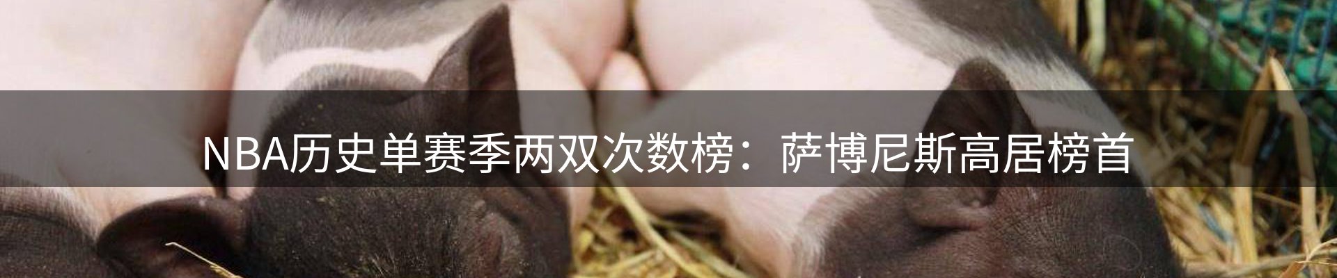 焦点选编